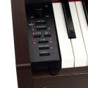 PIANO DIG PRIVIA PX-770BN MARR