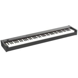 PIANO DIG D1