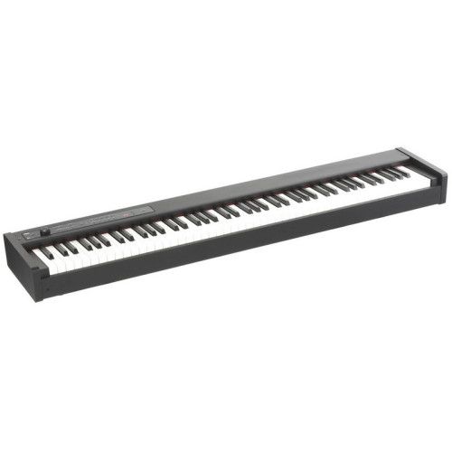 PIANO DIG D1