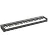 PIANO DIG D1