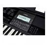 TECLADO CT-X800