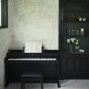 PIANO DIG CELV AP-470BK