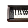 PIANO DIG CELV AP-470BN