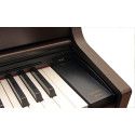 PIANO DIG CELV AP-470BN