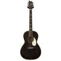 GUIT ACUST SE PARLOR P20E DH 2