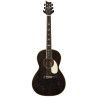 GUIT ACUST SE PARLOR P20E DH 2