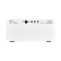 AMPL F40i Li  SNOW W