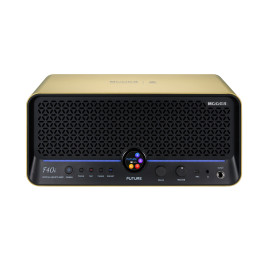 AMPL F40i GOLD