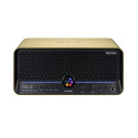 AMPL F40i Li GOLD