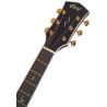 GUIT ACUST GOLD-D8 LB +FUNDA S