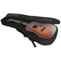 GUIT ACUST GOLD-D8 LB +FUNDA S