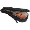 GUIT ACUST GOLD-D8 LB +FUNDA S