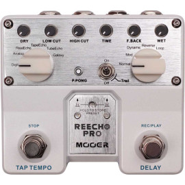 REECHO PRO DIGITAL DELAY