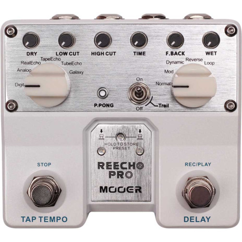 REECHO PRO DIGITAL DELAY