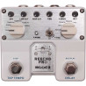 REECHO PRO DIGITAL DELAY