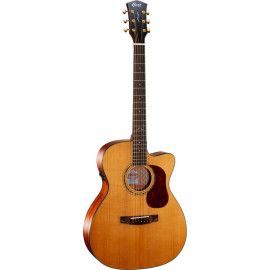 GUIT ACUST GOLD-OC6 NAT GLOSS