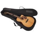 GUIT ACUST GOLD-OC6 NAT GLOSS