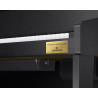 PIANO DIG CELV GH GP-310BK