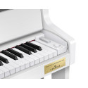 CELVIANO GRAND HYBRID GP-310WE