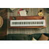 PIANO DIG PRIVIA PX-S1100WE KI