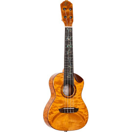 ELITE S. AC-ELEC CONCERT UKELE
