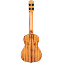 ELITE S. AC-ELEC CONCERT UKELE