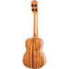 ELITE S. AC-ELEC CONCERT UKELE