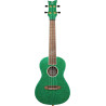 ELEMENT S. AC CONCERT UKELELE 