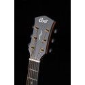 GUIT ACUST Gold Edge NAT c/fun