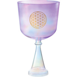 CSC8FPFOL CRYSTAL CHALICE,8',F