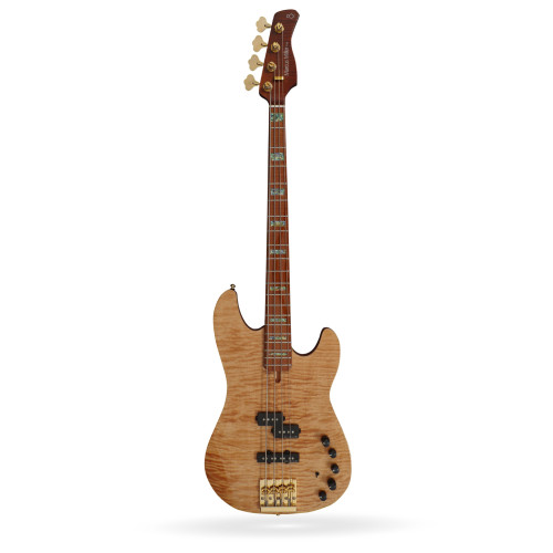 BAJO P10 DX-4 NT