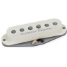 Psychedelic Strat Bridge Parch