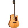 GUIT ACUST GOLD-DC6 NAT W/CASE