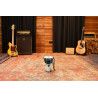 JRD-GB 7' JR. DJEMBE, GALACTIC