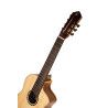 GUIT CLAS, 7STRING, ELECTRONIC