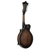 MANDOLIN, F-STYLE, WHISKEY BUR