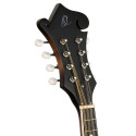 MANDOLIN, F-STYLE, WHISKEY BUR
