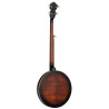 BANJO, ARMREST,WHISKEY BURST,2