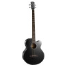 BAJO ACUST AB850F BK w/bag