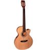 GUIT ACUST NYLON CEC1 OP
