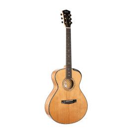 GUIT ACUS Gold-Passion NAT w/c