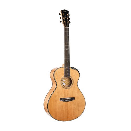 GUIT ACUS Gold-Passion NAT w/c