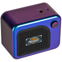 AMPLI COMBO HORNET 05I