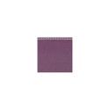 Estuche violín Bam ET2000XLGR Slim L'Étoile Hightech Violeta
