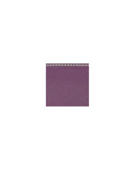 Estuche violín Bam ET2000XLGR Slim L'Étoile Hightech Violeta