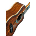 30TH ANNIVERSARY UKELELE, SEA 