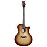 GUIT ACUST MG60CEHFSHB MASTERW
