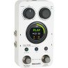 PEDAL GL100 STEREO LOOPER