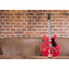 Elec. Guitar. 67 Viking - Wild