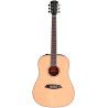 GUIT ACUST A3-D Dreadnought NA